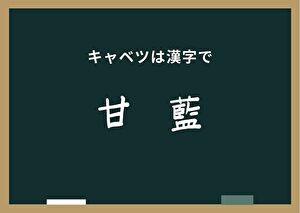 キャベツを漢字で書くと「甘藍」｜日本での歴史やその他の漢字も紹介