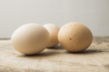 卵の殻のザラザラはたんぱく質で食べても問題なし！役割なども解説