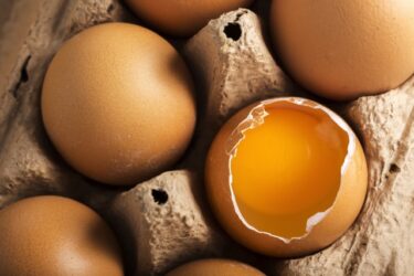 買ってきた卵が割れてたら廃棄が基本！食べてはいけない理由も解説